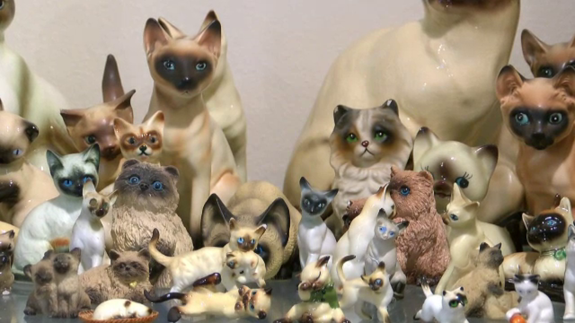 O familie din SUA vrea să intre în Cartea Recordurilor pentru cea mai mare colecție de figurine de pisici