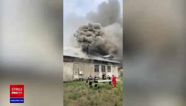 Incendiu la o fabrică de prelucrare a laptelui din Prahova: Se intervine cu cinci autospeciale
