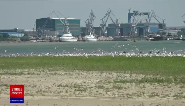 Apele Dunării continuă să scadă. Efectele secetei vor duce la prețuri mai mari
