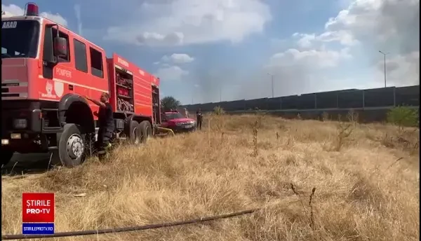 Incendiu de vegetaţie uriaș, în Arad. Focul a cuprins panourile fonoabsorbante de pe marginea autostrăzii. VIDEO