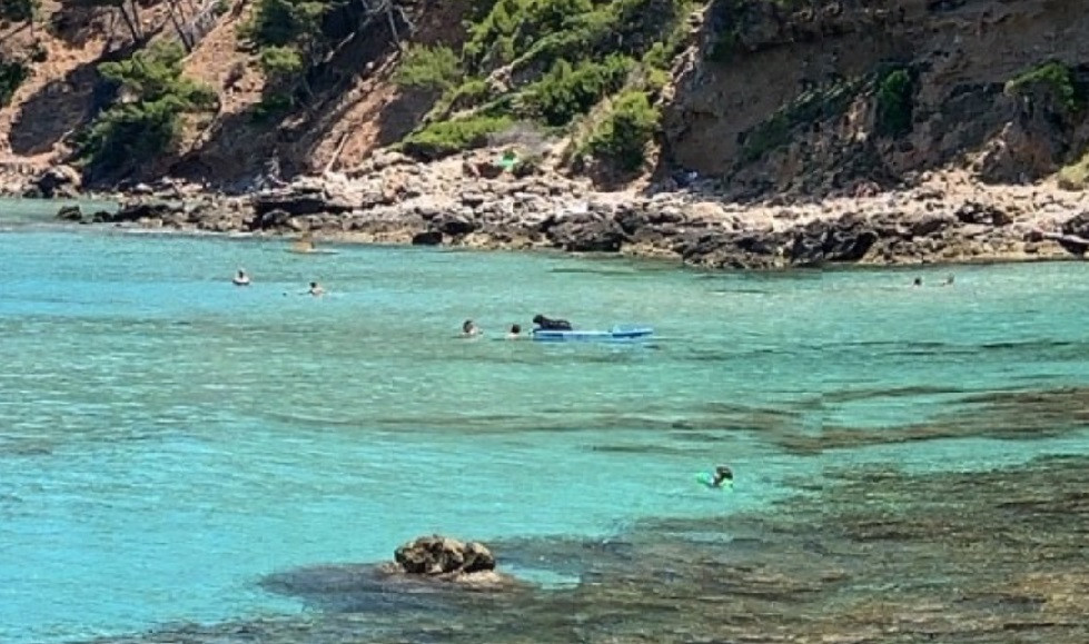 caine placa google street view