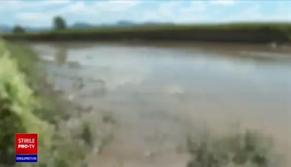 Sute de kilograme de pești morți, pe râul Olt. Garda de Mediu verifică ipoteza unor deversări ilegale de substanțe toxice