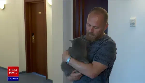 Animalele de companie, bine-venite pe litoral. Ce condiții impun hotelierii și administratorii plajelor