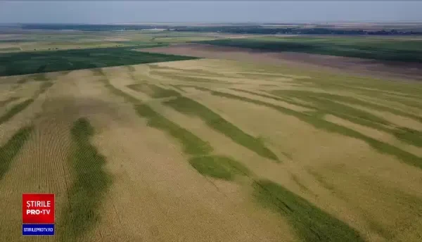 În ce stadiu se află sistemul de irigații al României, care ne-ar salva mâncarea de secetă. Daea promite că nu va pierde apă