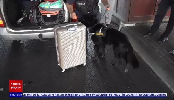 Polițiștii au sporit controalele antidrog. Ce au găsit în mașina unor polonezi care mergeau la UNTOLD