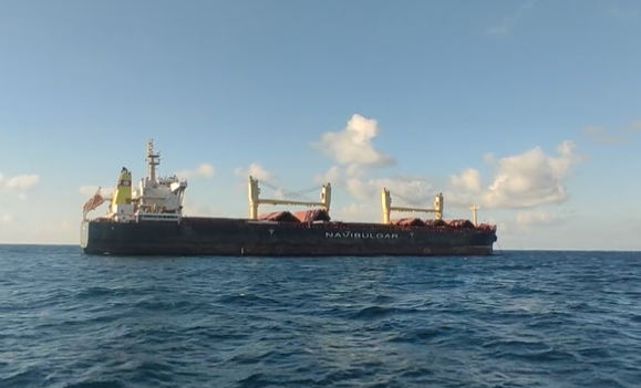 VIDEO O navă cargou a ajuns în portul ucrainean Cernomorsk de la Marea Neagră pentru prima dată de la invazia rusă