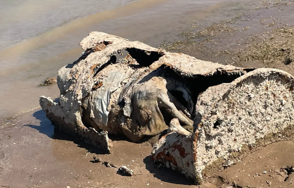 Nouă descoperire macabră după secarea Lacului Mead din SUA. Este a patra de acest fel în ultimele patru luni