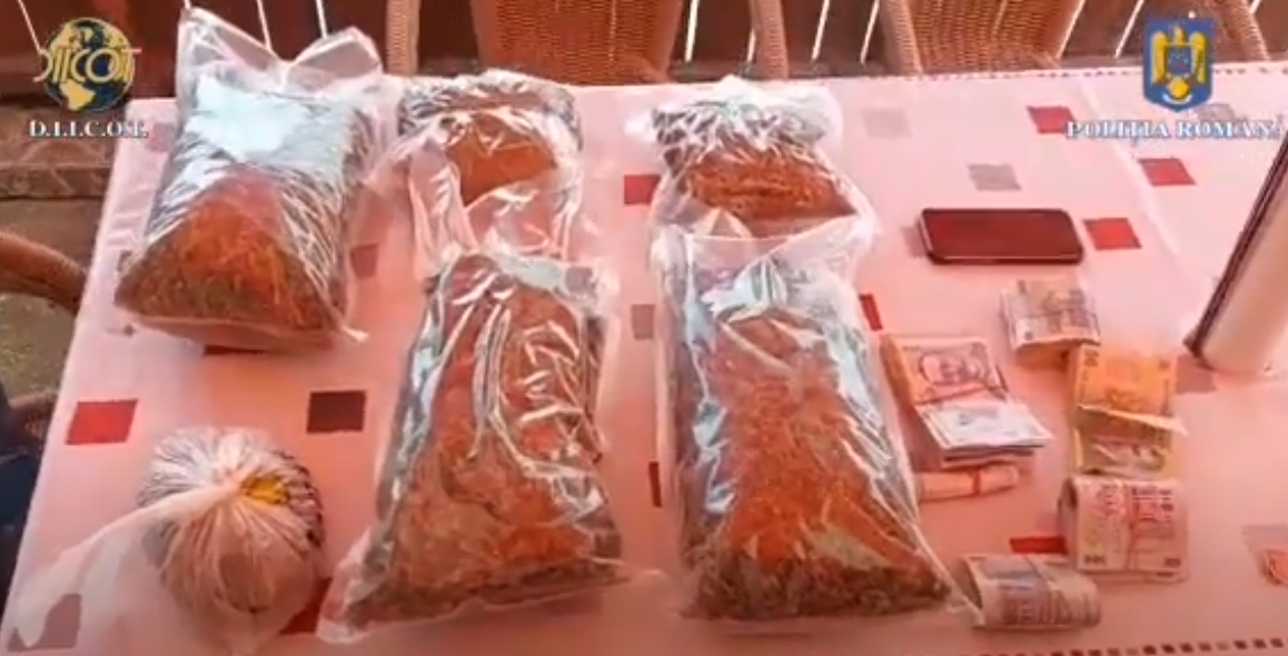 Cinci persoane, reținute după ce au vândut peste 9 kilograme de droguri provenite dintr-o cultură proprie