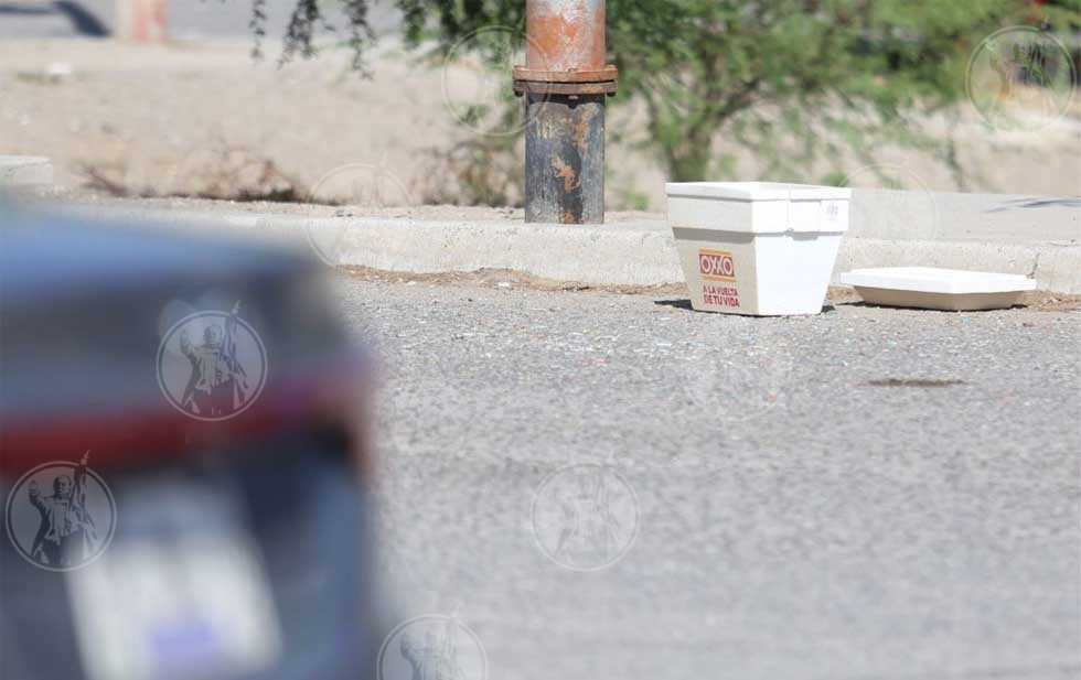 Capul unei femei a fost găsit într-o ladă frigorifică. Ce s-a întâmplat cu trupul ei