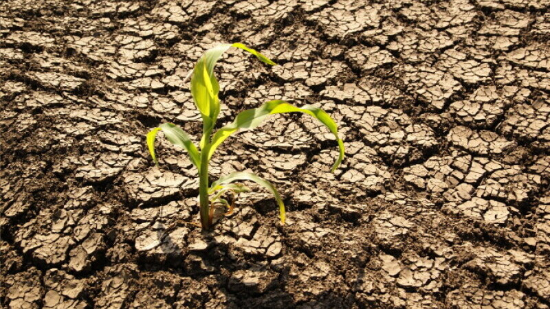 Președintele Societăţii Meteorologice Române. „Vor veni vremuri grele. Seceta de acum este de abia începutul”