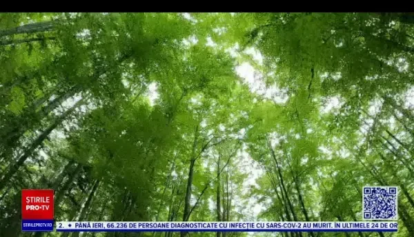 Horoscop 10 august 2022 cu Neti Sandu. Peștii ar putea întâlni persoana care să îi facă fericiți