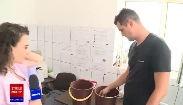 Recoltarea grâului s-a terminat, iar producția de anul acesta este cu 15% mai mică