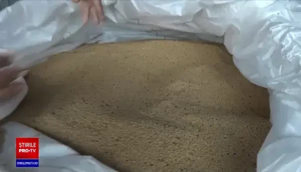 Importurile de muștar sunt afectate de conflictul din Ucraina. Fermierii români fac față cu greu situației