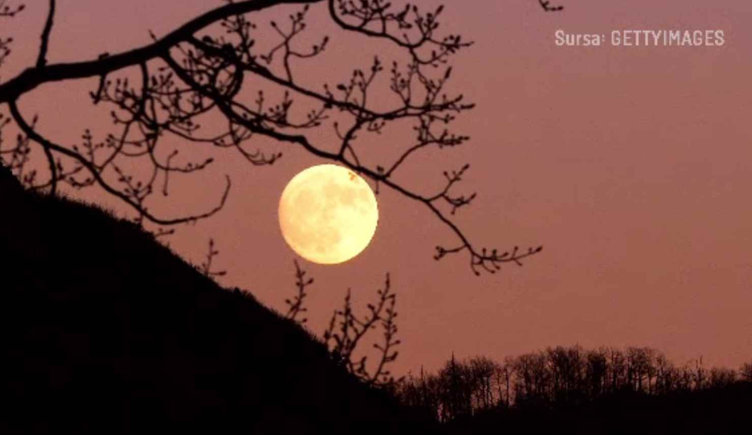 Superluna și Perseidele, combinația în care se elimină reciproc. Cum pot fi văzute ambele
