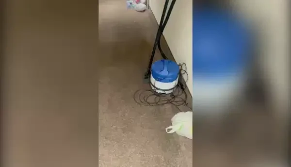 Situație îngrijorătoare în Albena, Bulgaria. Mai mulți copii, printre care și români, s-au îmbolnăvit brusc