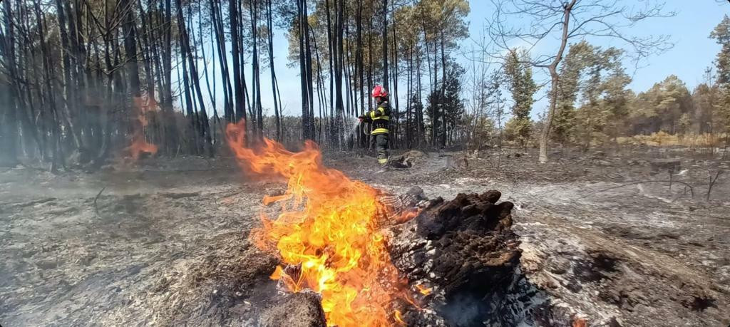 Intervenția a zeci de pompieri români care ajută la stingerea incendiilor de vegetaţie din Franţa | FOTO&VIDEO