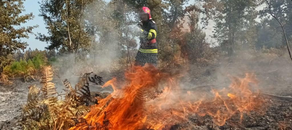 Incendiu de vegetaţie în sudul Franţei. Aproape 1.000 de pompieri au fost mobilizaţi