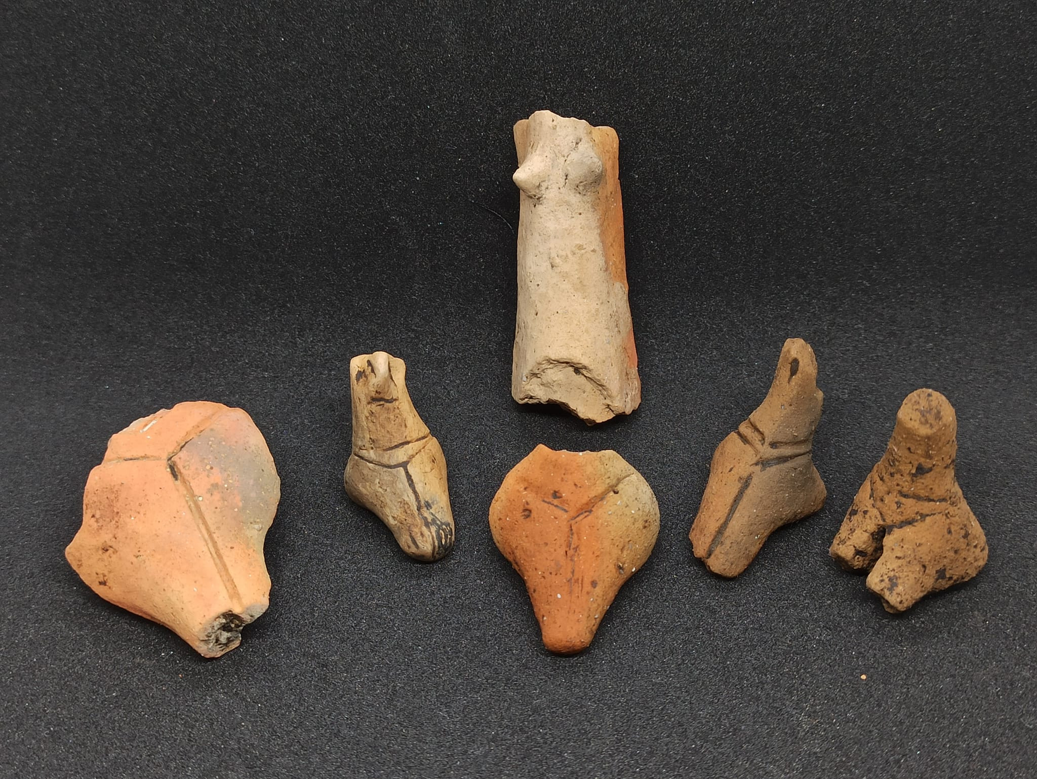 Descoperire spectaculoasă făcută lângă Târgu-Neamţ. Arheologii au găsit vestigii vechi de 7.000 ani | GALERIE FOTO