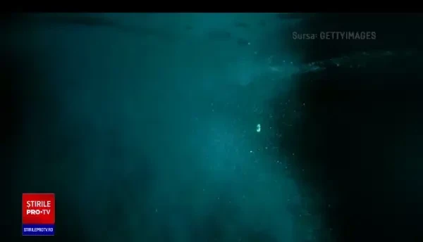 Tragedie în Bacău. Lăsați nesupravegheați, doi copii au fugit în toiul nopții de acasă. Unul dintre ei a murit