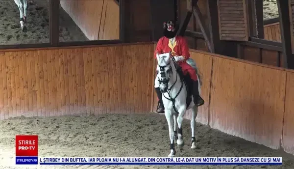 Spectacol oferit de cai de rasă, la Daneș. ”Au mers extraordinar, de fiecare dată ne iau prin surprindere”