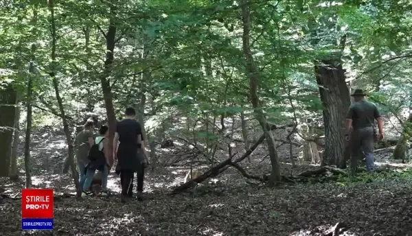 Nici trufele nu se mai găsesc din cauza secetei. S-au pierdut aproape jumătate din recolte