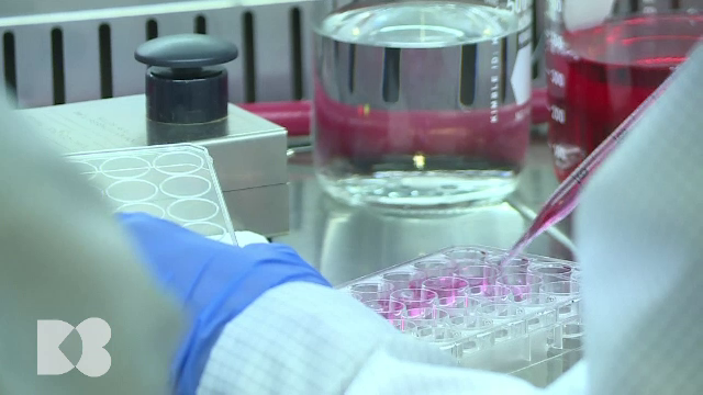 Ce înseamnă un nivel ridicat de transaminaze în sânge și ce boli poate ascunde