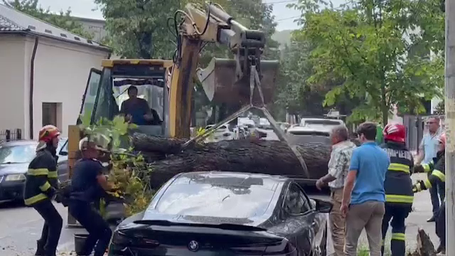 Ghinion pentru proprietarul unei mașini de lux din Pitești. Același copac s-a prăbușit de două ori peste bolid