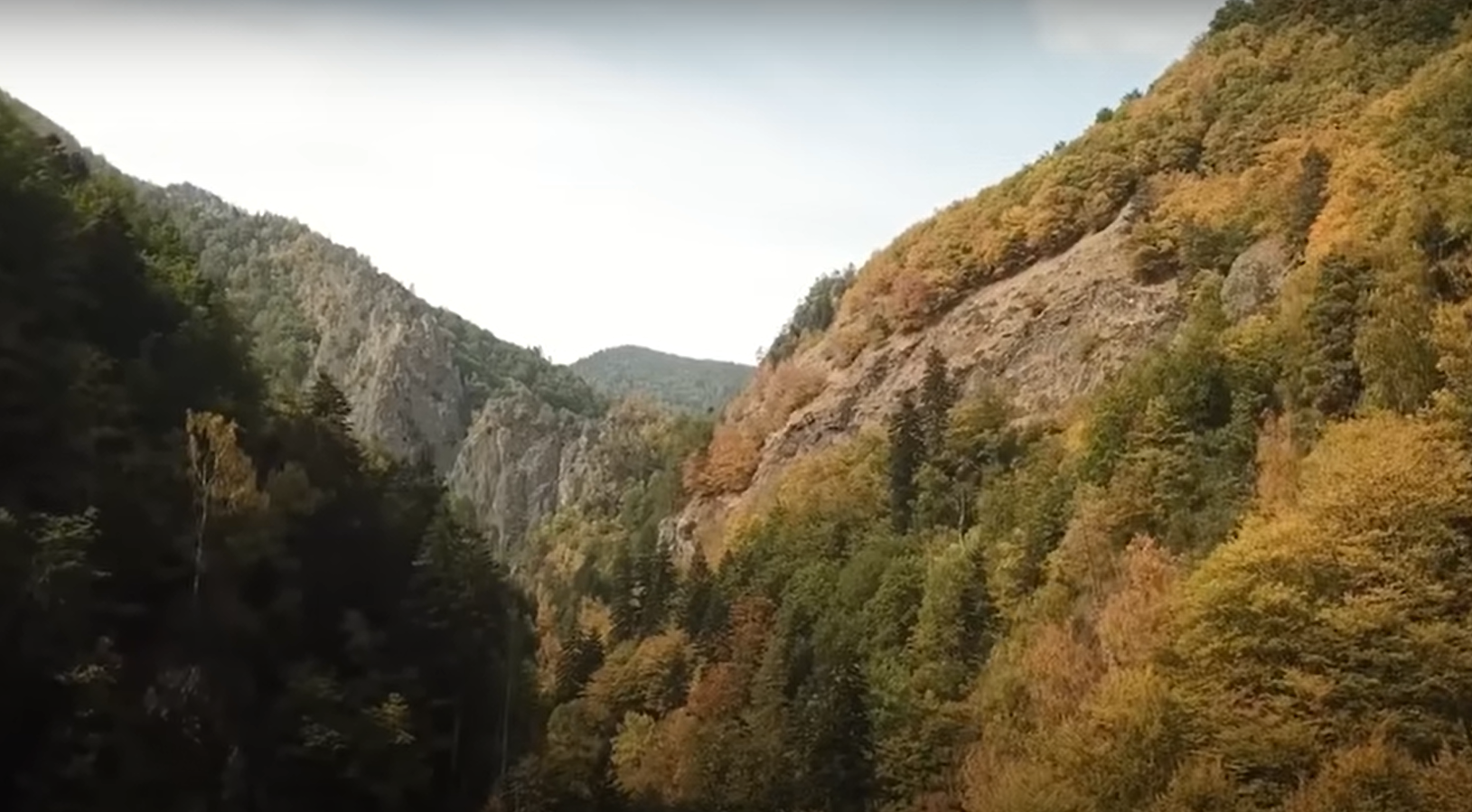 Peste 340 de hectare de fond forestier afectate de calamităţi vor fi reîmpădurite cu fonduri PNRR