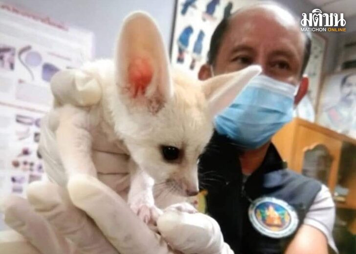 Un bărbat a fost arestat pe loc în aeroport, după ce agenții au făcut o descoperire uimitoare în bagajele sale