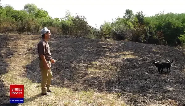 O femeie de 83 ani a fost arsă de vie pe câmp. Pompierii i-au găsit trupul după ce au stins incendiul