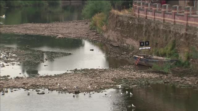 Măsuri radicale luate de mai multe țări din cauza crizei climatice. Ce decizii a luat China