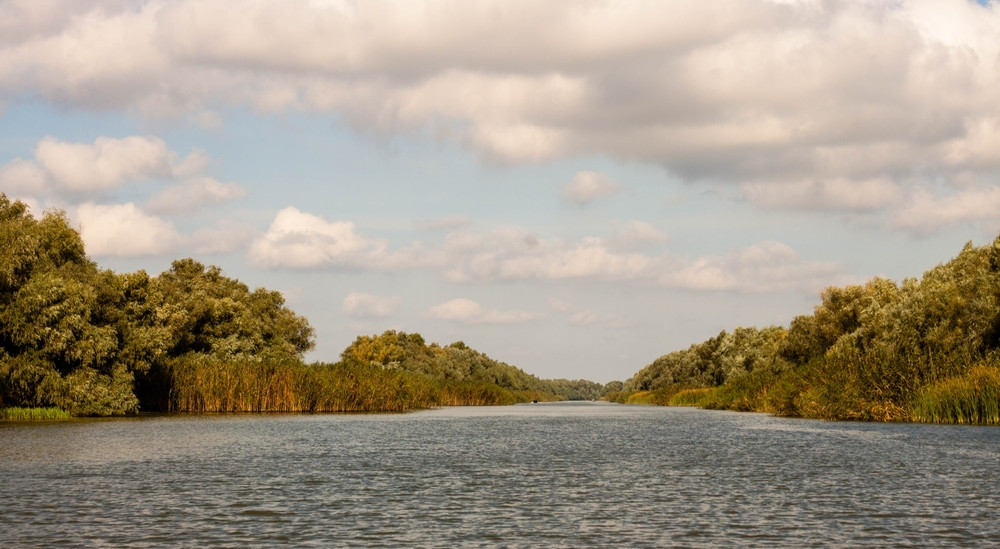 Lipsa dragajelor blochează traficul pe Dunăre. Explicația autorităților: „Nu puteau să mai migreze sturionii”