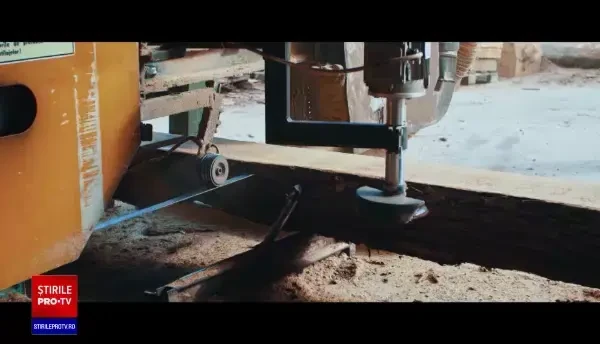 Deficitul de forță de muncă crește. Cu cât sunt plătiți românii comparativ cu piața din străinătate