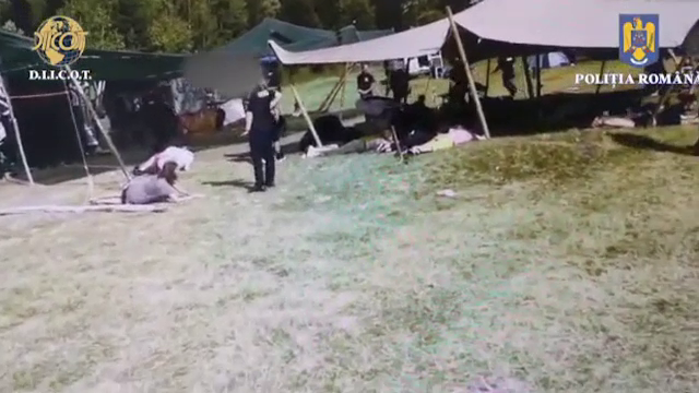 Droguri la un festival de muzică electronică din Harghita. Poliția a descins în toiul petrecerii