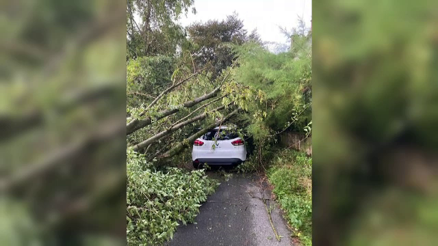 Furtunile au provocat haos în vestul și nordul Europei. Cel puțin 13 oameni, inclusiv copii au fost uciși