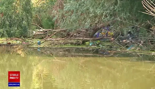 Lacurile și spațiile verzi din București, pline de gunoaie. Primăria nu face față ritmului în care oamenii aruncă resturi