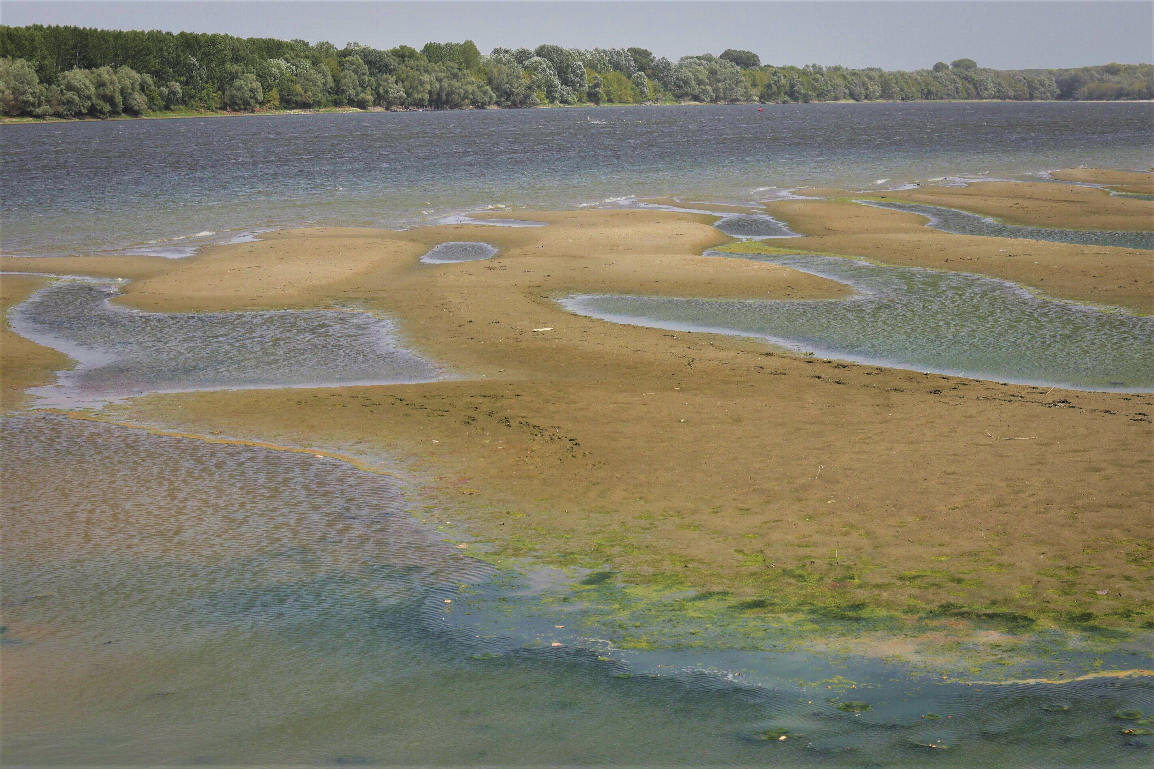 Efectele dramatice ale secetei în lume. Marile fluvii și râuri din Europa, Asia și America scad tot mai mult