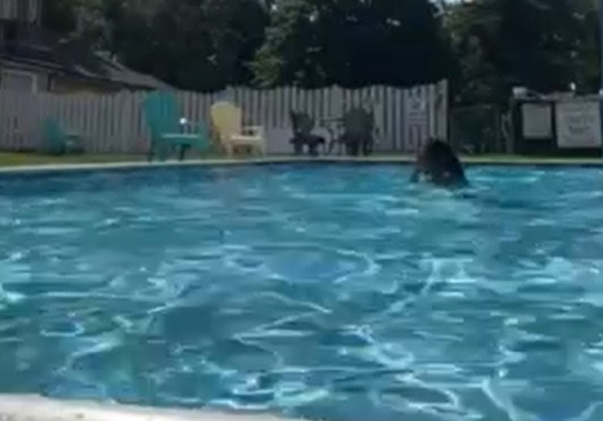 O tânără a transmis LIVE momentul în care s-a înecat într-o piscină. A fost găsită după trei ore