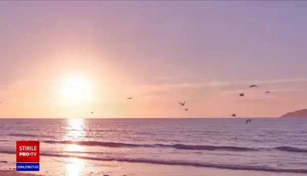 Festival de film la Marea Neagră. Peste 30 de filme, prezentate în prima ediție „Sunscreen”