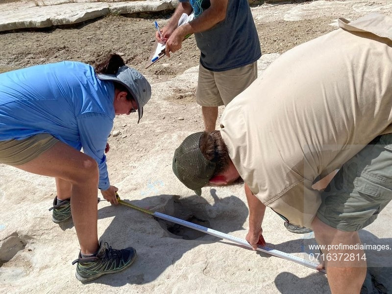 Seceta a scos la iveală urme de dinozaur, vechi de circa 113 milioane de ani. VIDEO ȘI GALERIE FOTO