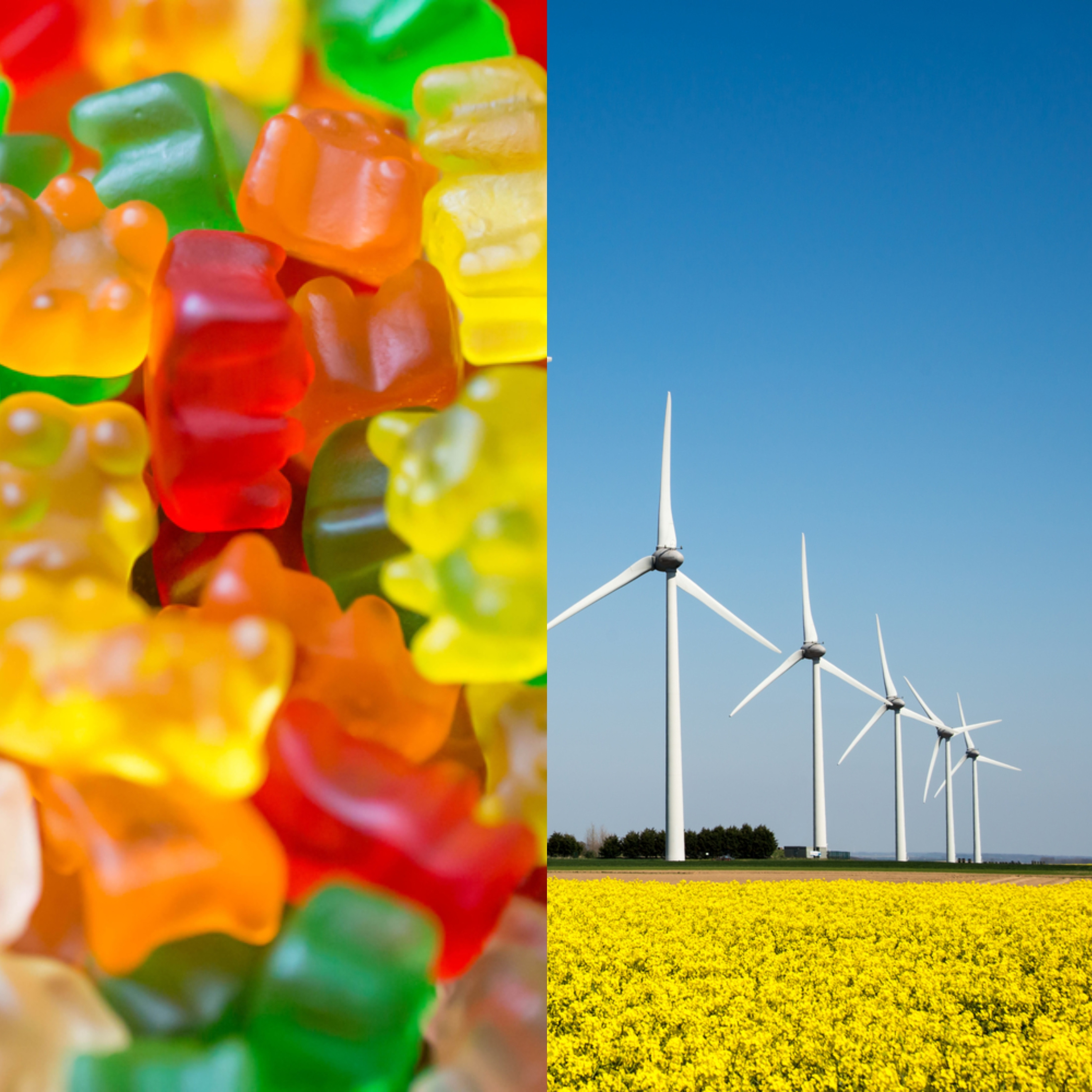 Ursuleți gumați făcuți din eoliene. Procesul prin care oamenii de știință vor să le transforme în diverse obiecte