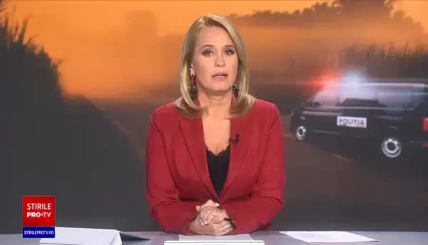 Patru bărbați au amenajat o fermă de canabis într-o zonă de munte din Bihor. Indivizii au fost arestați