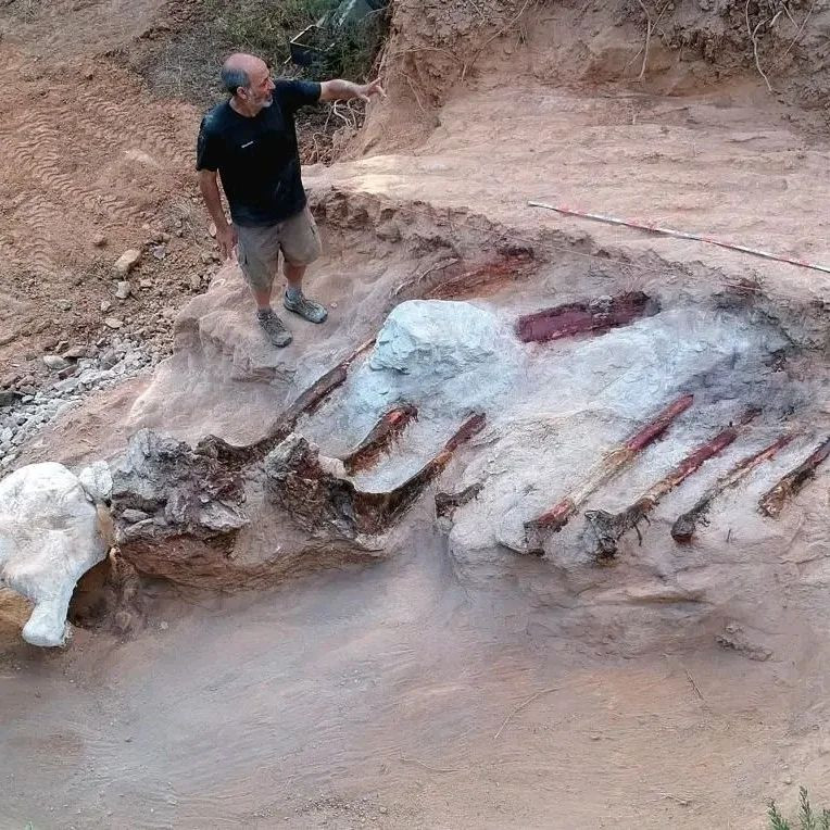 Descoperire incredibilă în grădina unui bărbat din Lisabona. Ce au dezgropat cercetătorii din pământ | FOTO