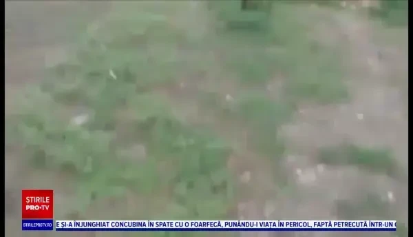 Amenda uriașă primită de un bărbat după ce un consătean l-a filmat când arunca gunoi. Ce spune soția reclamatului