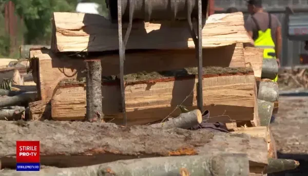 Statul vrea să dea ajutoare și pentru românii care se încălzesc cu lemne. Câți bani ar urma să primească