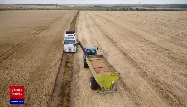 Seceta a făcut ravagii în agricultura din România. Daea: „Schimbările climatice sunt o realitate”