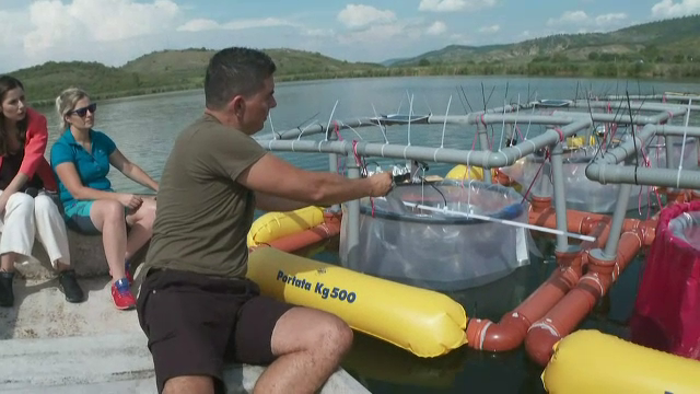 Premieră în România. Cercetătorii români și străini instalează un sistem în apă prin care vor testa efectele crizei climatice