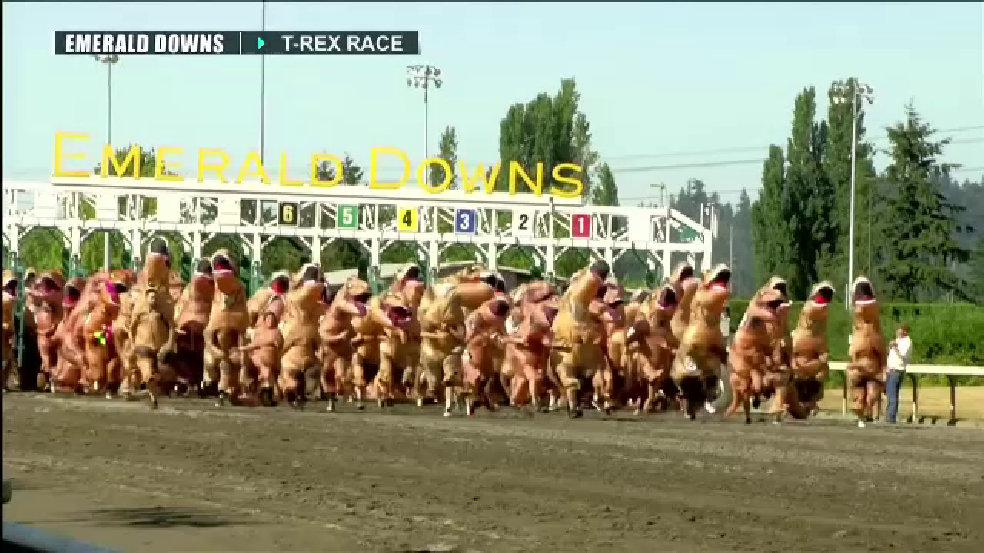 Peste 150 de alergători s-au costumat în dinozauri și s-au întrecut pe un hipodrom din Washington