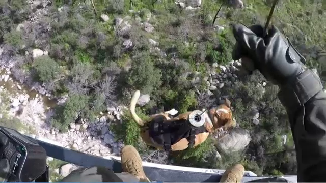 Misiune neobișnuită de salvare într-un canion din Arizona. Un câine a fost preluat cu elicopterul