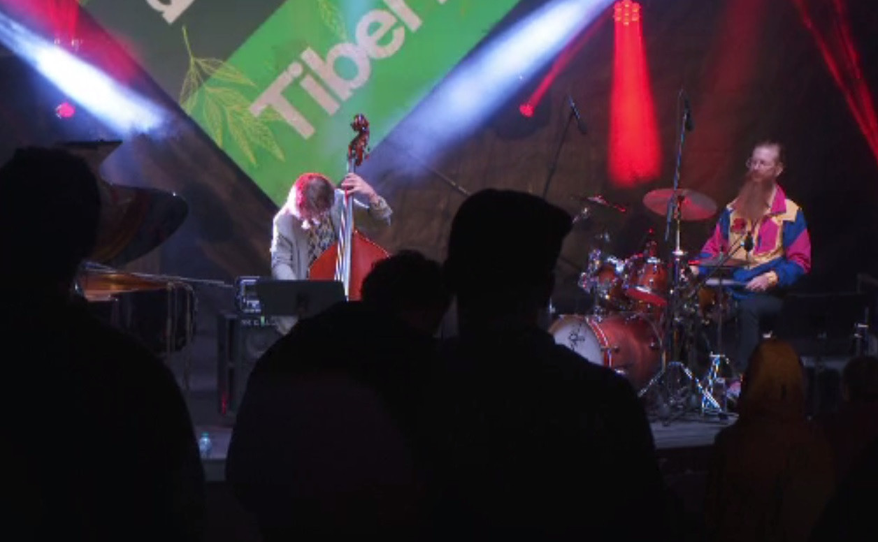 A început cea de-a zecea ediție a festivalului „Jazz in the Park”, la Cluj-Napoca. Artiștii care vor urca pe scenă